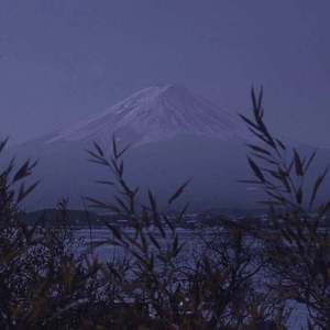 黄片一级片毛片
